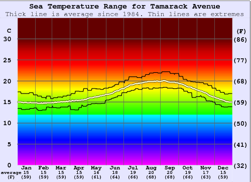 Tamarack Avenue Graphique de la température de l'eau
