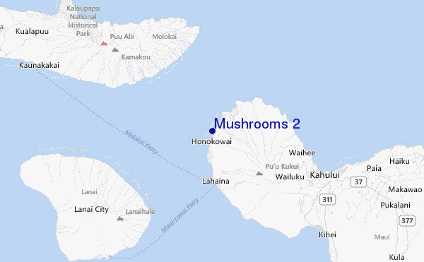 Mushrooms 2 Location Map
