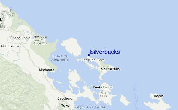 Silverbacks Location Map