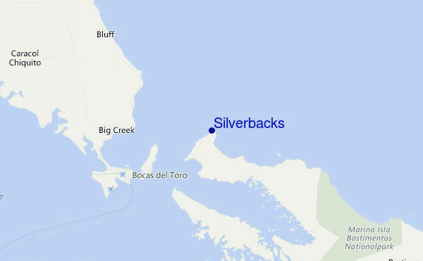 carte de localisation de Silverbacks