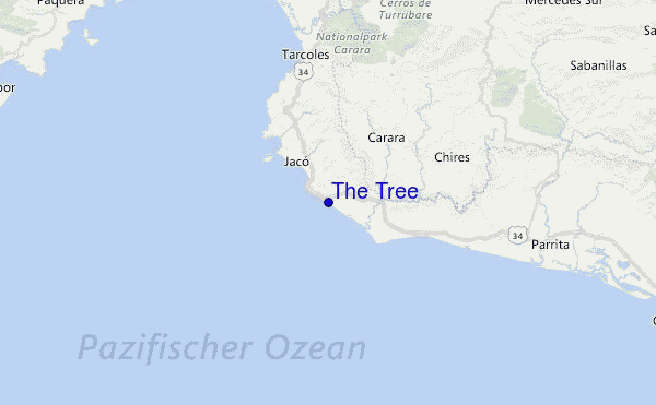 The Tree Location Map