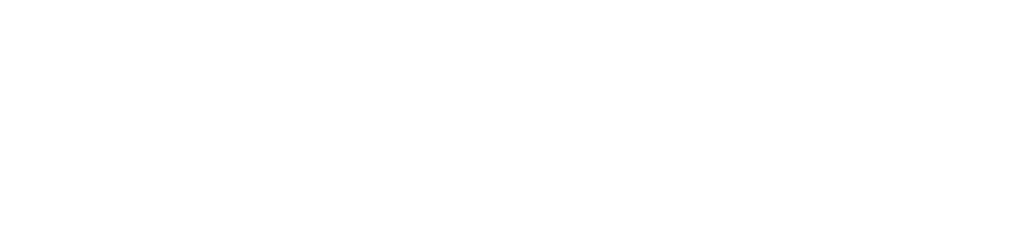 Surf Forecast Logo