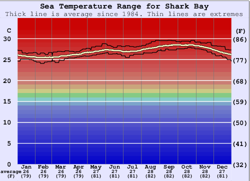 Shark Bay Graphique de la température de l'eau