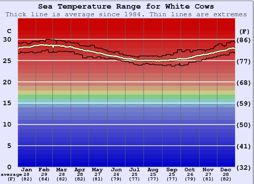 White Cows Graphique de la température de l'eau