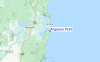 Angourie Point location map