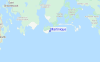 Martinique Streetview Map