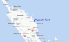 Paparahi Point Regional Map